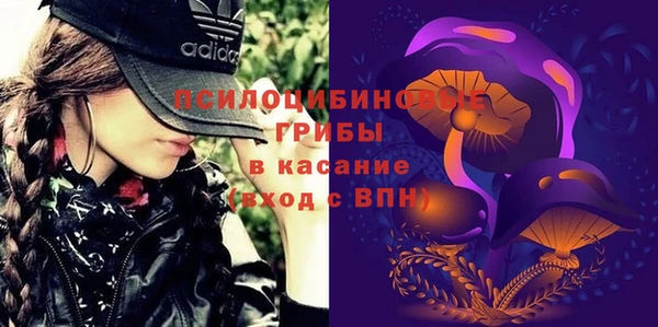 тгк Бородино
