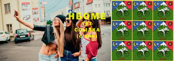 тгк Бородино