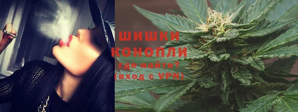 тгк Бородино