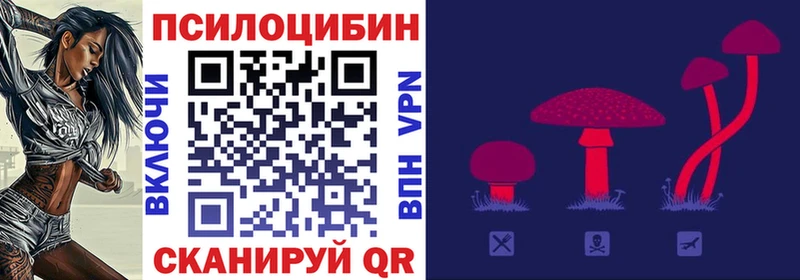 Галлюциногенные грибы Psilocybine cubensis  Дрезна 