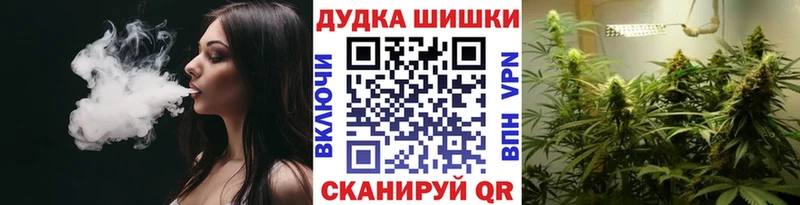 Бошки Шишки семена  Дрезна 